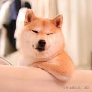 好多好多蛋蛋的个人资料头像