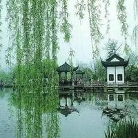 沈亚明头像