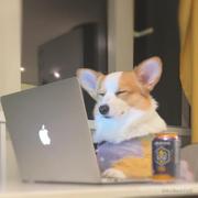 小李很上进的个人资料头像