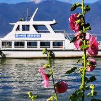 南火小哥哥头像