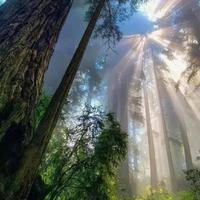 看日落就好935头像