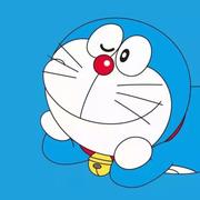 努力向上的小P的个人资料头像