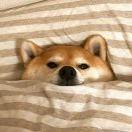 Aaron酱60126的个人资料头像