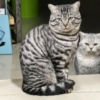 这个名字不算太长吧62188029头像