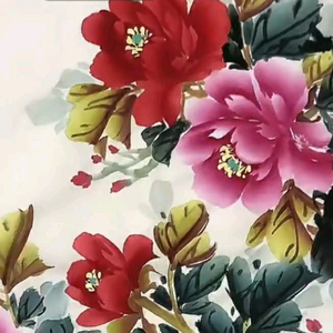 晓侬养生头像