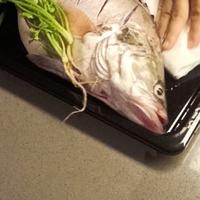 英明果断生活家Gt头像