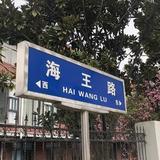 大龙.头像