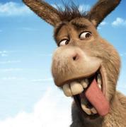 好痛的风的个人资料头像