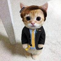 毛勾大汽车头像