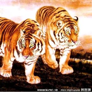 LEH二虎头像