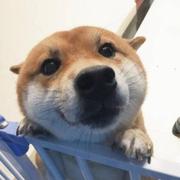 lyg酱45123的个人资料头像