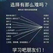 嗨m的个人资料头像