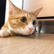 willow_Li的个人资料头像