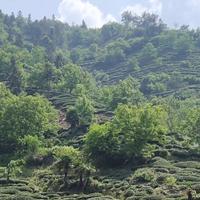 用户5195916034676头像