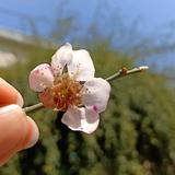 微梵时光头像