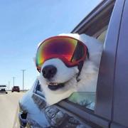 故乡的原风景805的个人资料头像