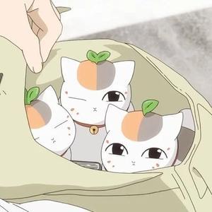 南归舍头像