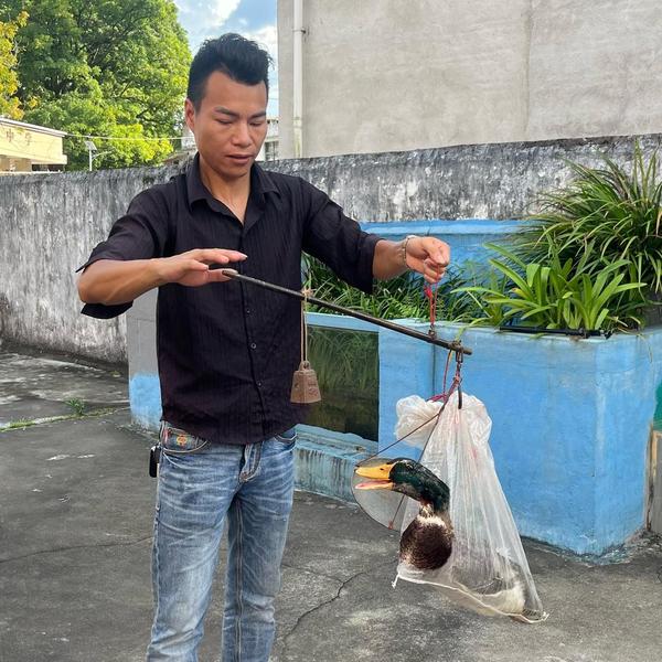 农人找小陈头像