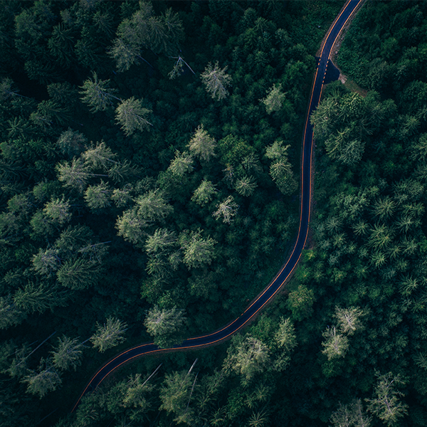 爱思考杰里1a6头像