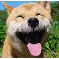 馆藏生活头像