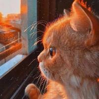 用户2797928291871头像