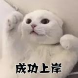 以诚54846头像