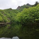 梦醒88255头像