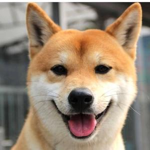 别遇见小熊和她头像