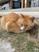 _Cheese的个人资料头像