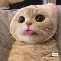 简简二号头像