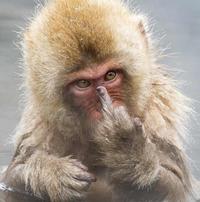 悟空27702874头像