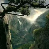 翱翔天下425头像