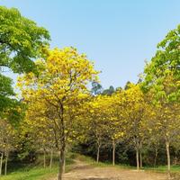 热爱自驾的明明头像