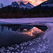 李作家的个人资料头像