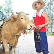 在我眼里你们都是扑你的个人资料头像