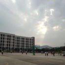 Disappoint的个人资料头像