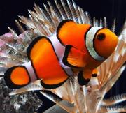 鱼是咸的的个人资料头像