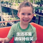 猴子请来的的个人资料头像