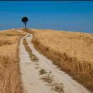 _Do_的个人资料头像