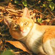 啊寒啊的个人资料头像