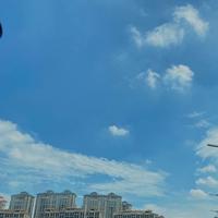 用户4541481173115头像