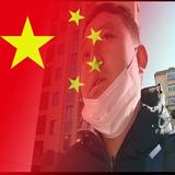 才高八斗柳叶yM头像