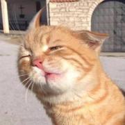 待俺洗个sa的个人资料头像