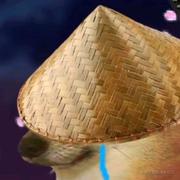 辣辣嘉心糖的个人资料头像