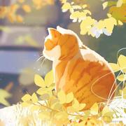 Anony0S的个人资料头像