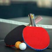 奇点之光Zed的个人资料头像