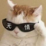 辻弌2头像