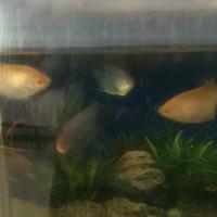 韩家国翁者童心头像