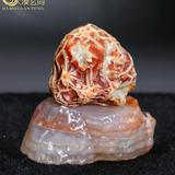 大漠玄同1头像