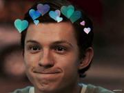 王登登的个人资料头像